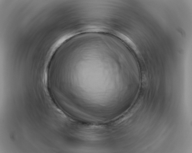 X0000114021419200910161746