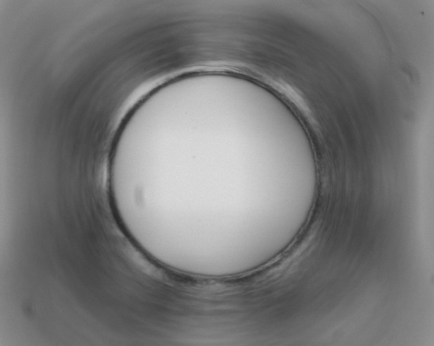 X0000114021420200910161746