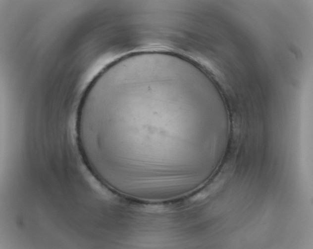 X0000114021422200910161746