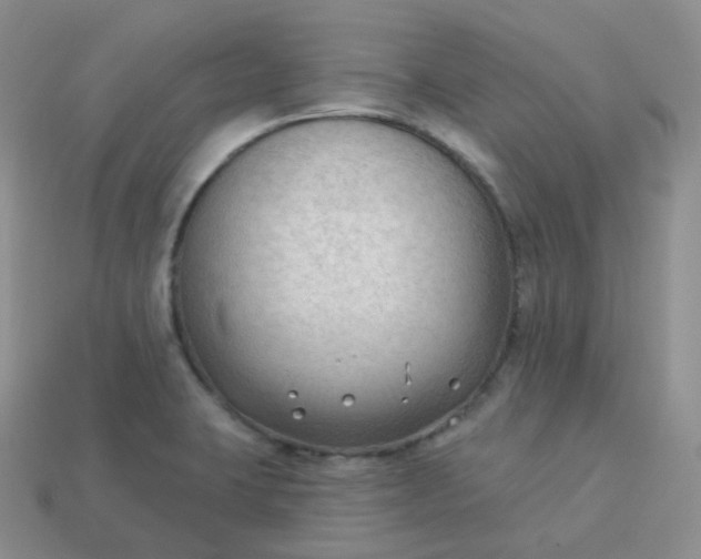 X0000114021423200910161746