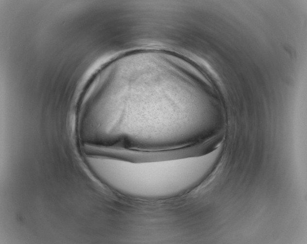 X0000114021424200910161746