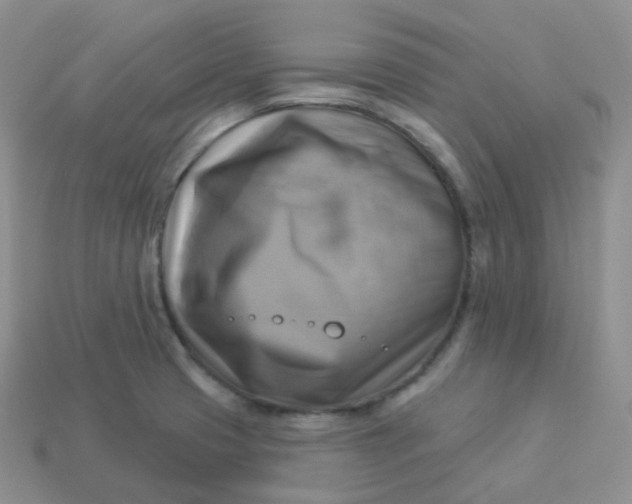 X0000114021425200910161746