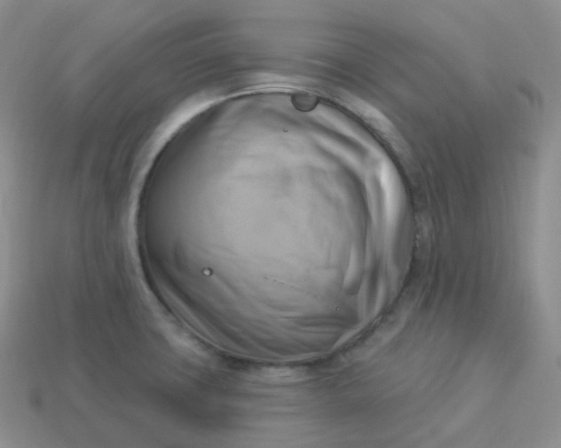 X0000114021427200910161746