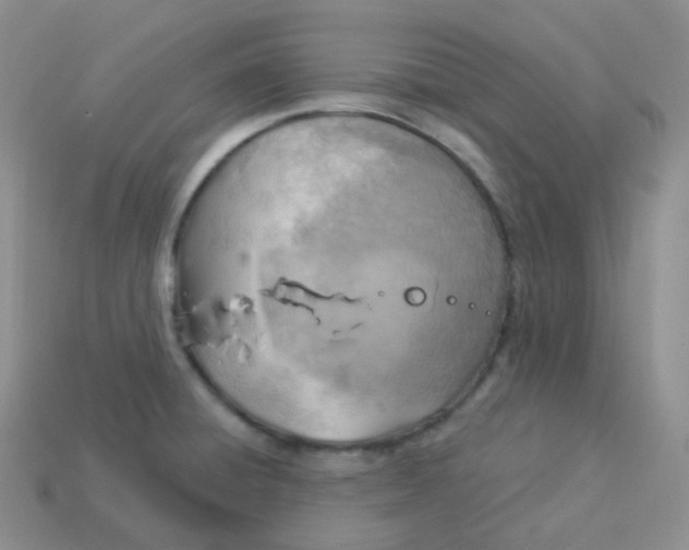 X0000114021428200910161746