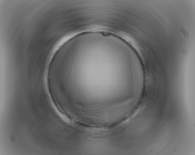 X0000114021429200910161746