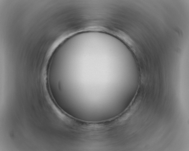 X0000114021430200910161746