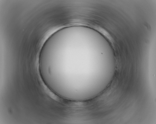 X0000114021431200910161746