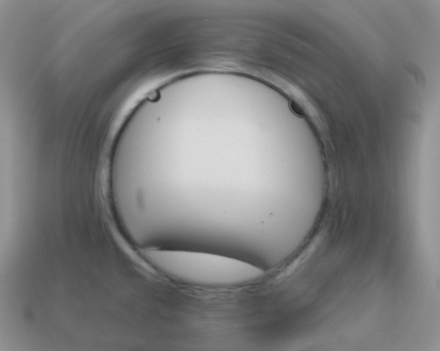 X0000114021432200910161746