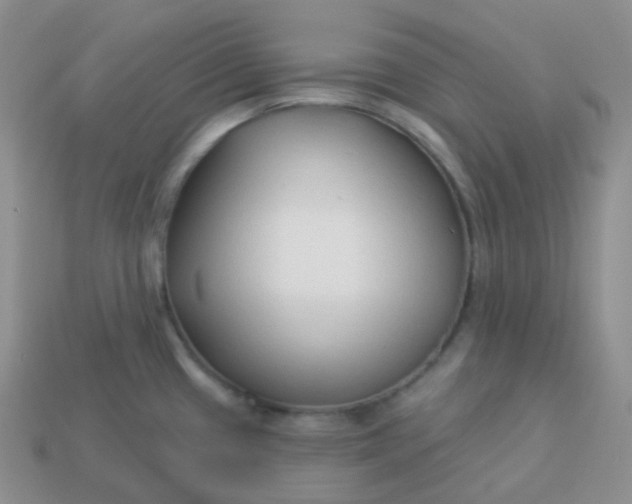 X0000114021433200910161746