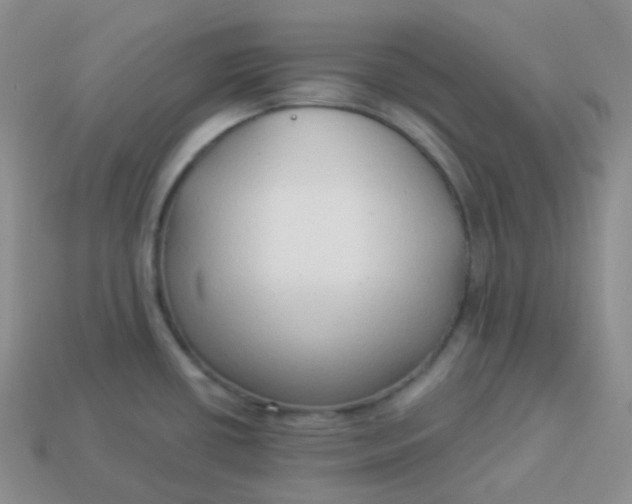 X0000114021434200910161746