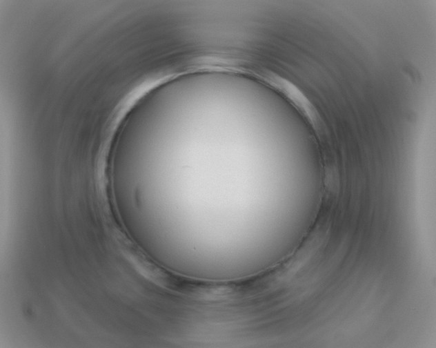 X0000114021435200910161746