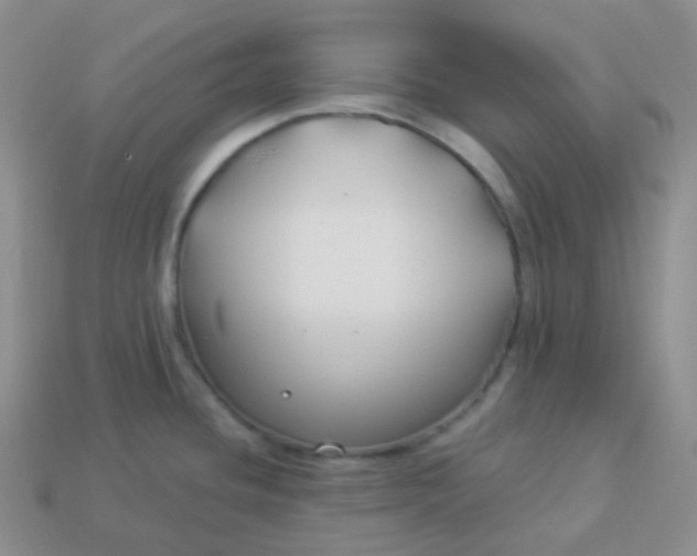 X0000114021436200910161746