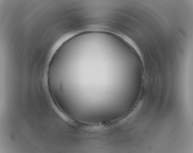 X0000114021437200910161746