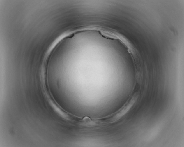 X0000114021438200910161746