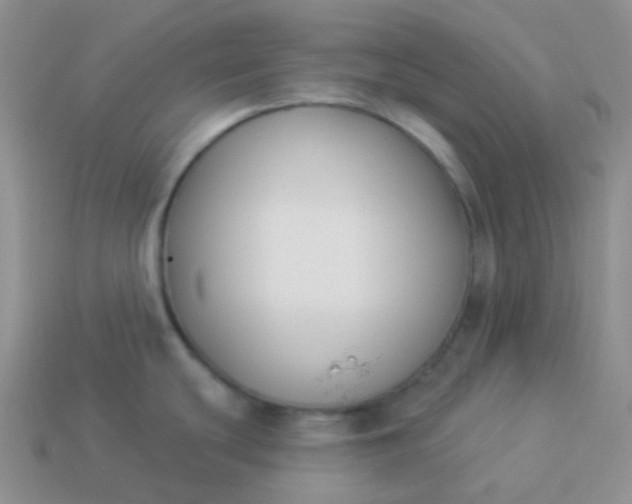 X0000114021439200910161746