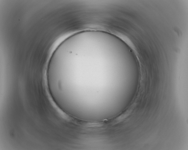 X0000114021440200910161746