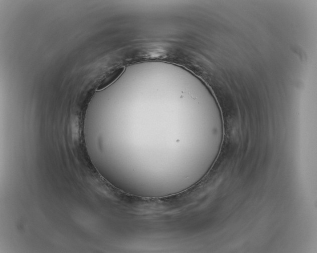 X0000114021442200910161746