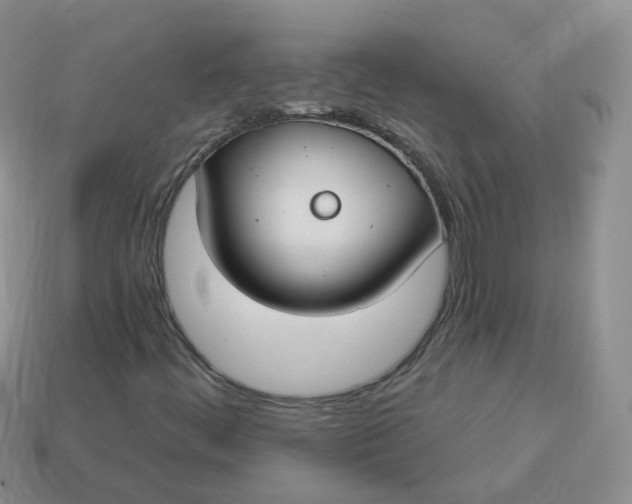 X0000114021444200910161746