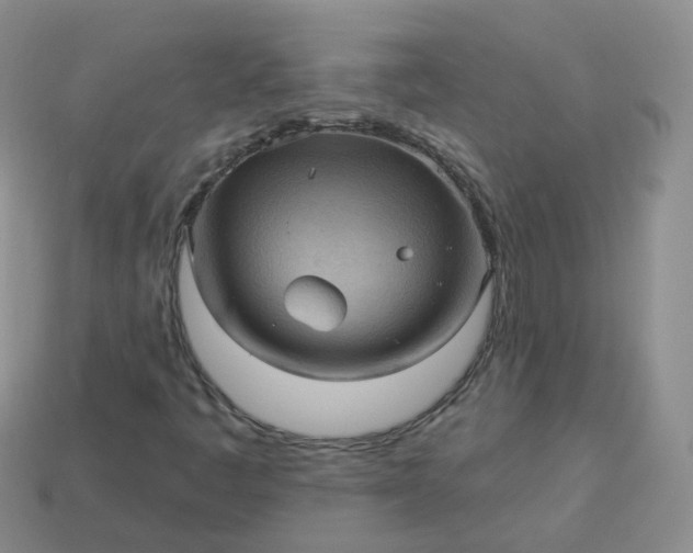 X0000114021445200910161745