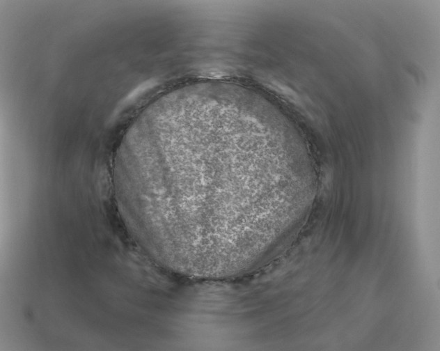 X0000114021446200910161745