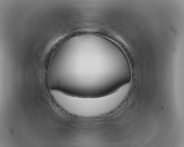 X0000114021448200910161745