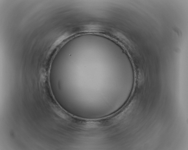 X0000114021449200910161745