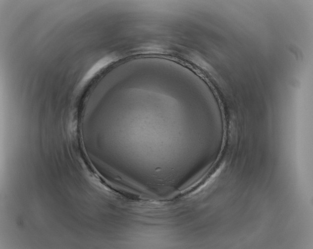 X0000114021450200910161745