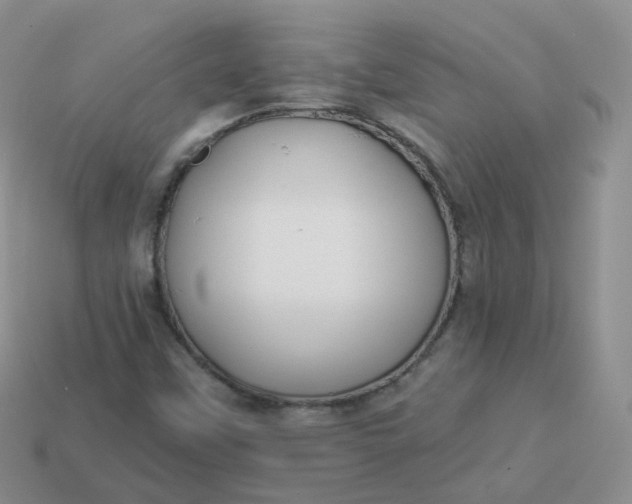 X0000114021451200910161745