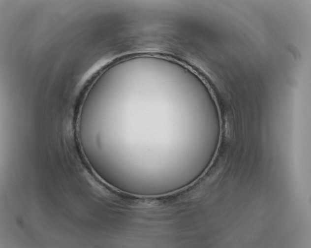 X0000114021452200910161745