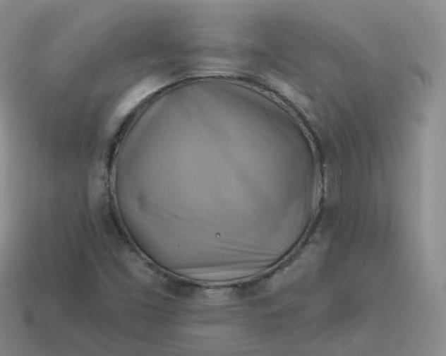 X0000114021453200910161745