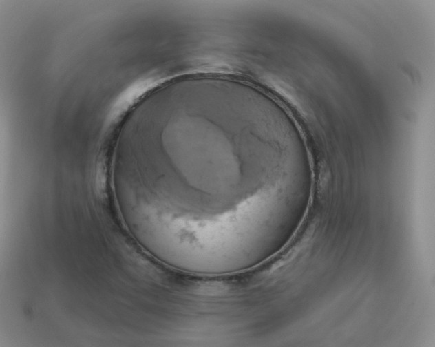 X0000114021455200910161745