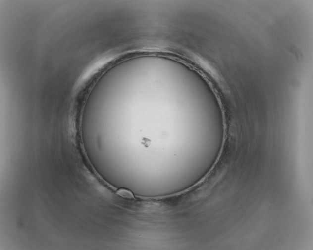 X0000114021456200910161745