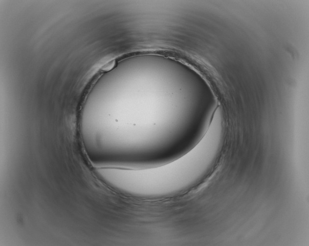 X0000114021457200910161745