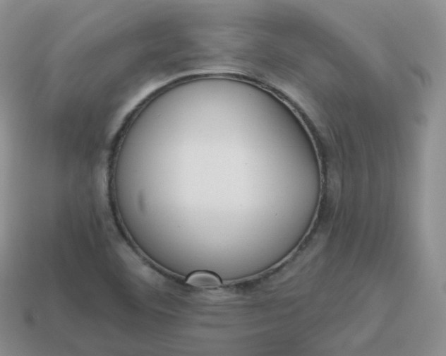 X0000114021460200910161745