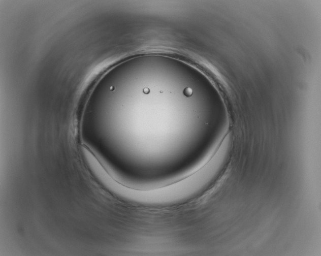 X0000114021461200910161745