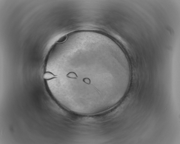 X0000114021463200910161745