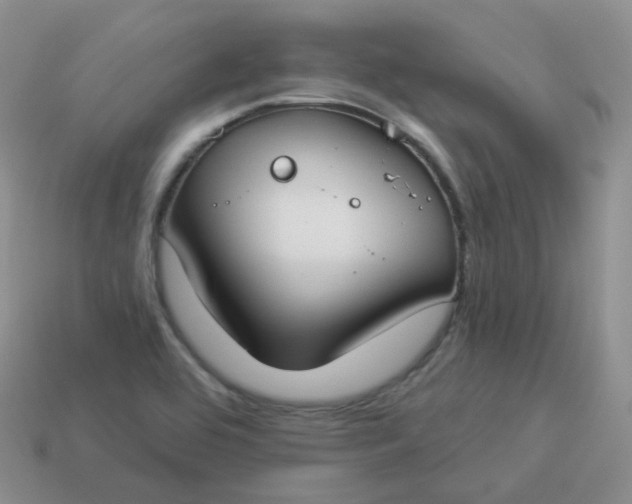 X0000114021464200910161745