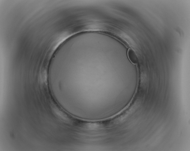 X0000114021465200910161745