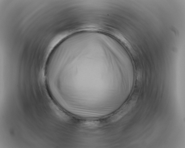 X0000114021466200910161745