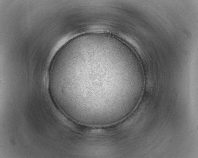 X0000114021467200910161745