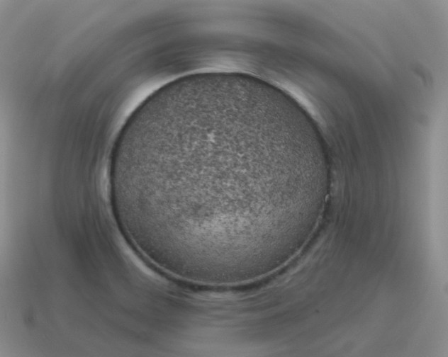 X0000114021468200910161745