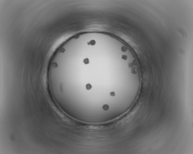 X0000114021469200910161745