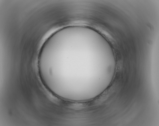 X0000114021470200910161745