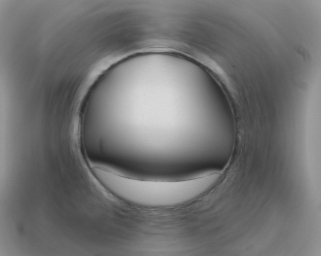 X0000114021472200910161745