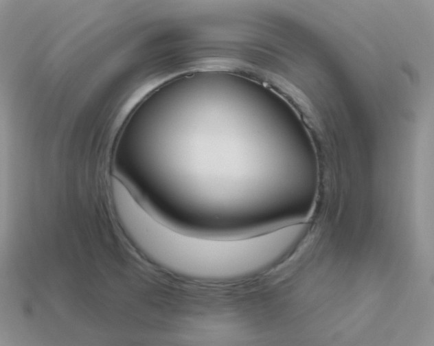 X0000114021473200910161745