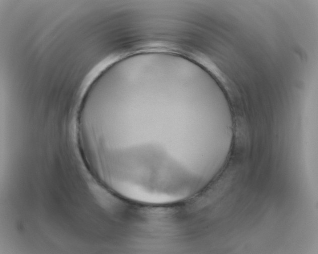 X0000114021474200910161745