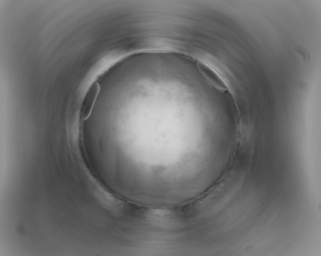 X0000114021477200910161745