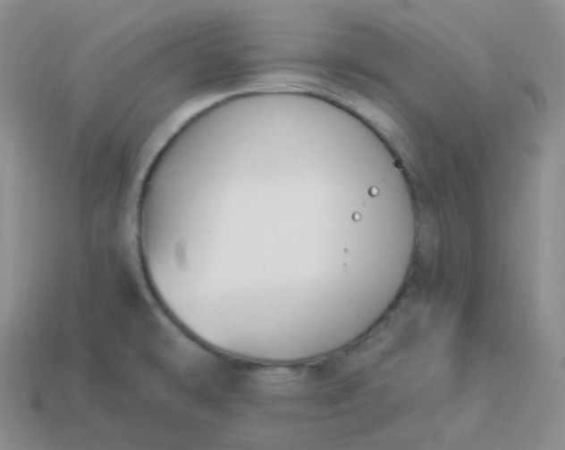 X0000114021478200910161745