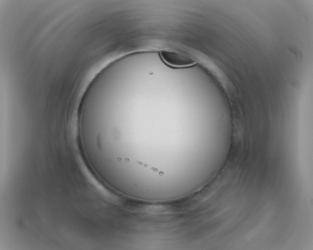 X0000114021479200910161745