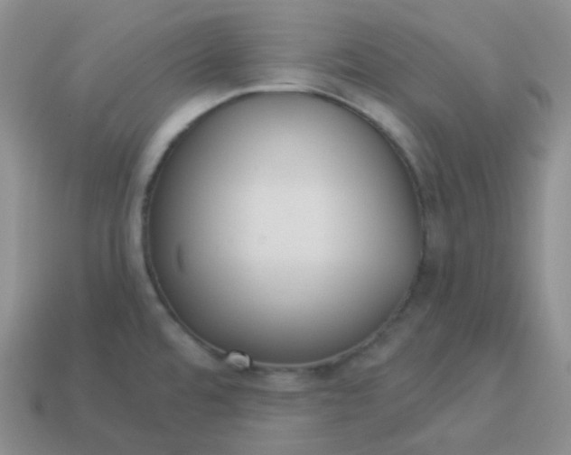 X0000114021480200910161745